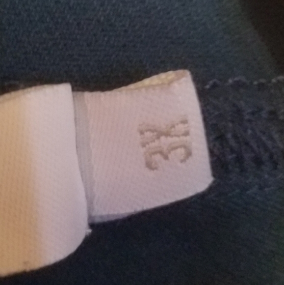 Amaryllis 3X Blue Stretchy Pants - Picture 4 of 8